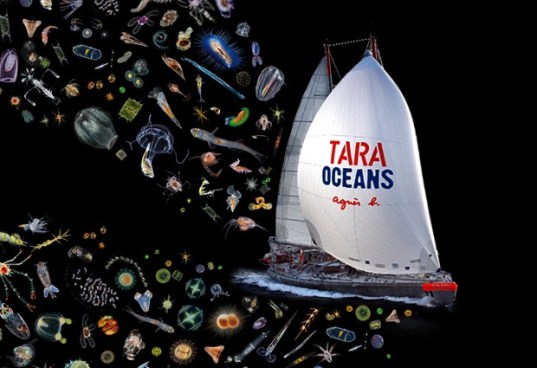 Tara Oceans Climate Hotel Ticati Plankton