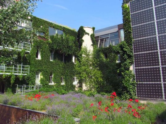 Solar panel with lavender and rose garden