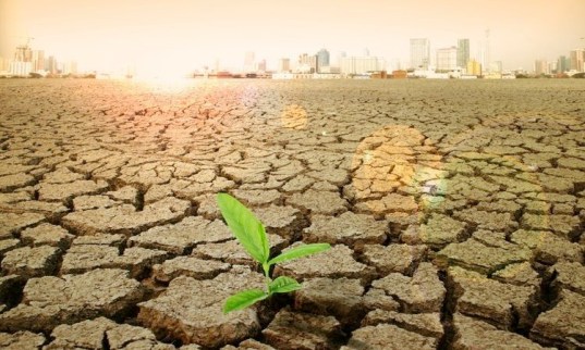 New York farmers coping with extreme weather and climate variability now have a new resource at their disposal :)