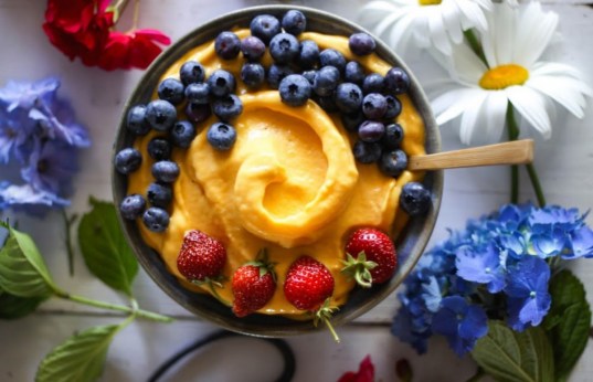 Vegan dessert: Mango Sorbet with Banana Pineapple