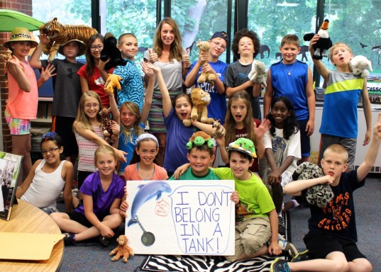 Animal Ethic Treatment Program Hotel Ticati