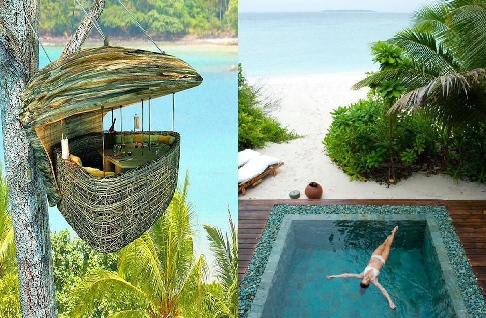 The fastest growing plant is bamboo, which have been found to grow at up to 91 cm (35 in) per day. Bamboo is one of the main locally sourced material that constructed Soneva Kiri. Photo: beautyscenery.com