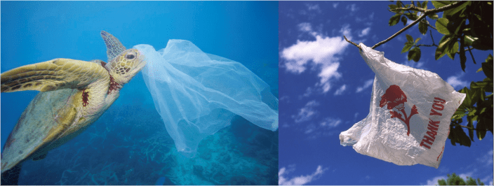 Responsible Hotel Ticati Save The Planet