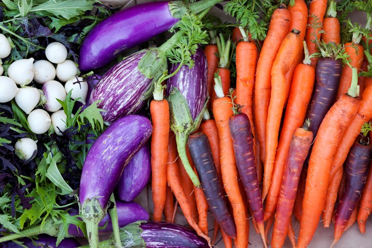 Chatham Bars Inn Farm