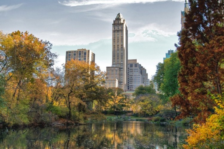 The Pierre, A Taj Hotel, New York
