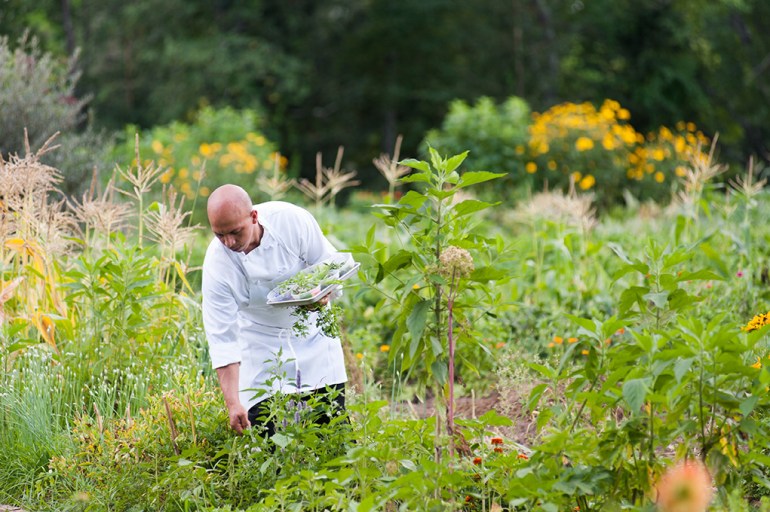 Organic kitchen garden of Farm-to-Table Restaurant @ Winvian Farm