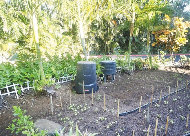 The hotel grows herbs and vegetables for its restaurants The Kahala Hotel & Resort